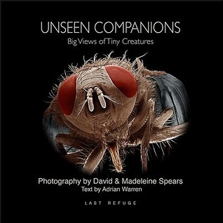 Unseen Companions: Big Views of Tiny Creatures (Hardcover)