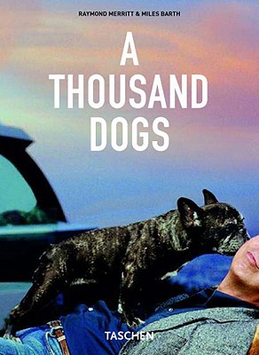 A Thousand Dogs (Paperback)