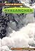 Avalanches (Natural Disasters)