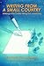 Writing from a Small Country by Mary Carey