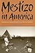 Mestizo in America: Generations of Mexican Ethnicity in the Suburban Southwest