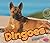 Dingoes