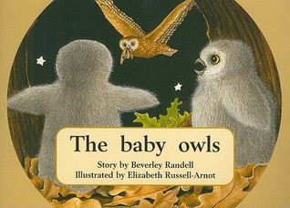 Baby Owls (Paperback)