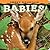 Smoky Mountain Babies! (Bab...