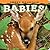 Smoky Mountain Babies! (Babies! (Farcountry Press))