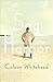 Sag Harbor by Colson Whitehead