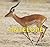 Antelope (Safari Animals)