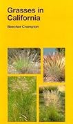Grasses in California
