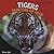 Tigers: Hunters of Asia (Powerful Predators)
