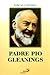 Padre Pio Gleanings