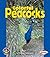 Colorful Peacocks (Pull Ahead Books ― Animals)
