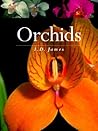Orchids Orchids
