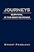 Journeys: Survival Is the Best Revenge