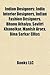 Indian Designers: India Interior Designers, Indian Fashion Designers, Bhanu Athaiya, Savitri Khanolkar, Manish Arora, Bina Sarkar Ellias