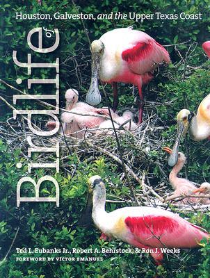 Birdlife of Houston, Galveston, and the Upper Texas Coast (Hardcover)