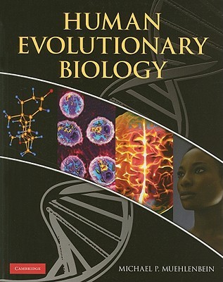 Human Evolutionary Biology (Paperback)
