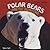 Polar Bears: Arctic Hunters (Powerful Predators)