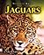 Jaguars (Nature Watch)