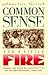 Common Sense and a Little Fire by Annelise Orleck