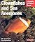 Clownfishes and Sea Anemones: Everything About Purchase, Care, Nutrition, Maintenance, and Setting Up an Aquarium (Barron's Complete Pet Owner's Manuals)