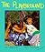 The Playground by Debbie Bailey