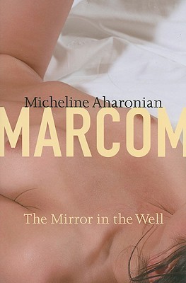The Mirror in the Well (Paperback)