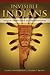 Invisible Indians: Native A...