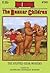The Stuffed Bear Mystery (The Boxcar Children, #90)