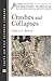 Crashes and Collapses (Essentials of Forensic Science)