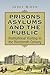 Prisons, Asylums, and the P...