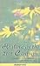 Healing in the 21st Century: Complementary Medicine and Modern Life (Jan de Vries Healthcare)