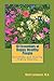 10 Essentials of Happy, Healthy People: Becoming and Staying Highly Healthy