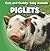 Piglets
