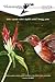 The Hummingbird Review, Volume 1, Number 2 by Charles Redner Lakshmi Bert...