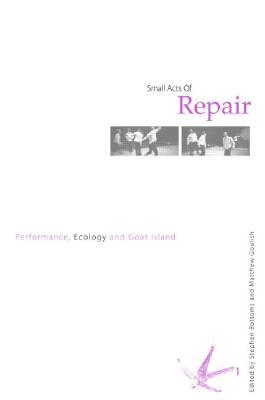 Small Acts of Repair (Paperback)