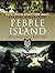 Pebble Island: The Falkland...
