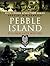 Pebble Island: The Falklands War 1982