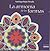 La Armonia de las formas/ The Harmony of Shapes (Spanish Edition)