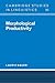 Morphological Productivity (Cambridge Studies in Linguistics, Series Number 95) (Volume 0)