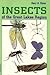 Insects of the Great Lakes Region (Great Lakes Environment)