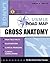 USMLE Road Map: Gross Anatomy