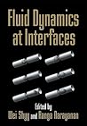 Fluid Dynamics at Interfaces