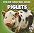Piglets
