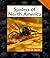 Spiders of North America (Animals in Order)