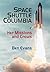 Space Shuttle Columbia: Her...