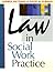 Law in Social Work Practice