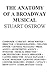 The Anatomy Of A Broadway Musical by Stuart Ostrow