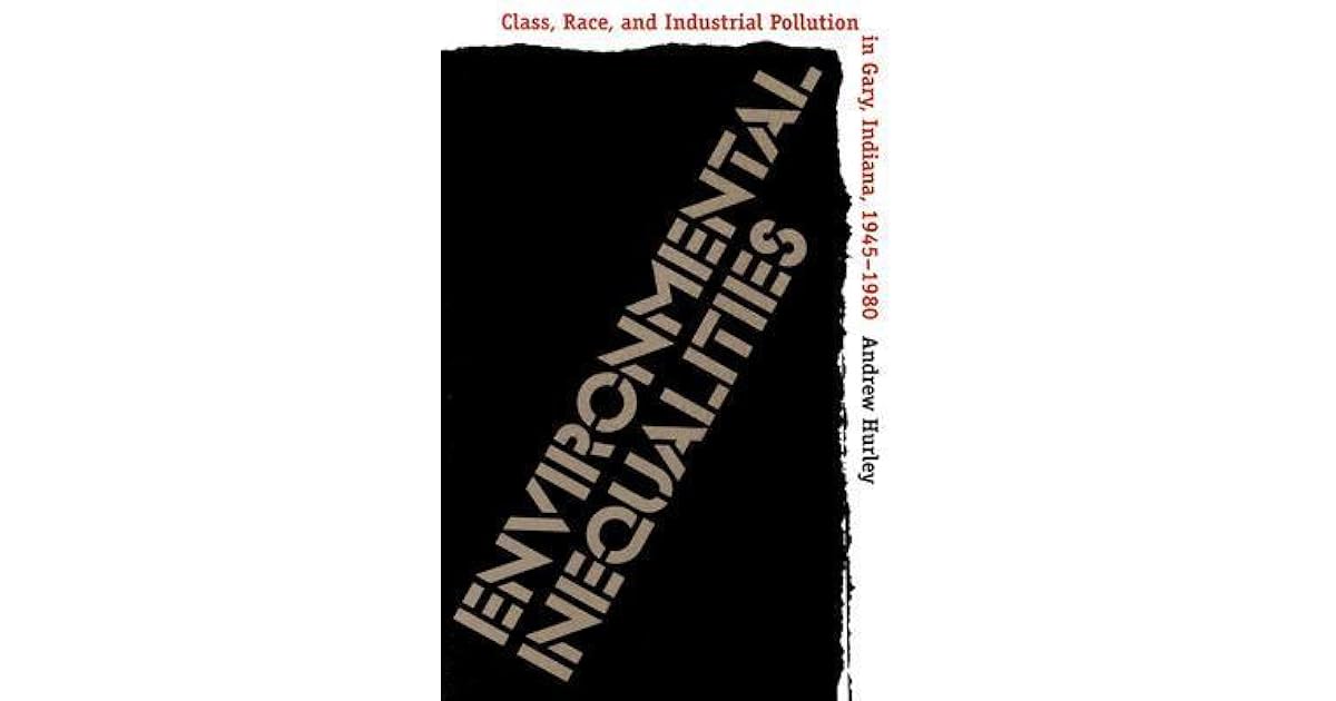 Essay on environmental inequalities by andrew hurley 04 picture