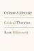 Culture and Identity: Critical Theories (Politics and Culture series)