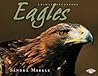 Eagles (Animal Predators)
